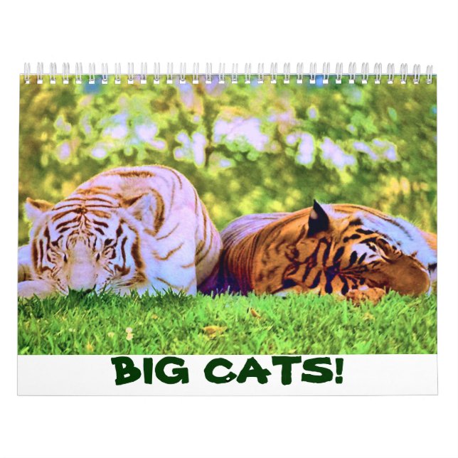 GATOS GRANDES! Calendário (Capa)
