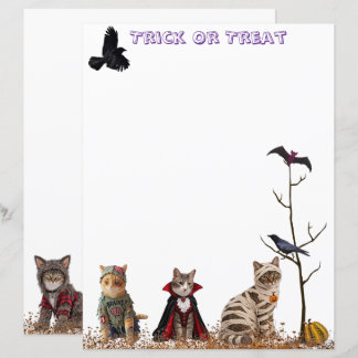 Gatos Kitty Fazendo Travessuras no Halloween Papel