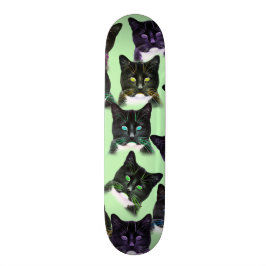Gatos legal! Plataforma do skate