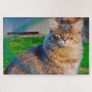 Gatos Maine Coon. Quebra-cabeça