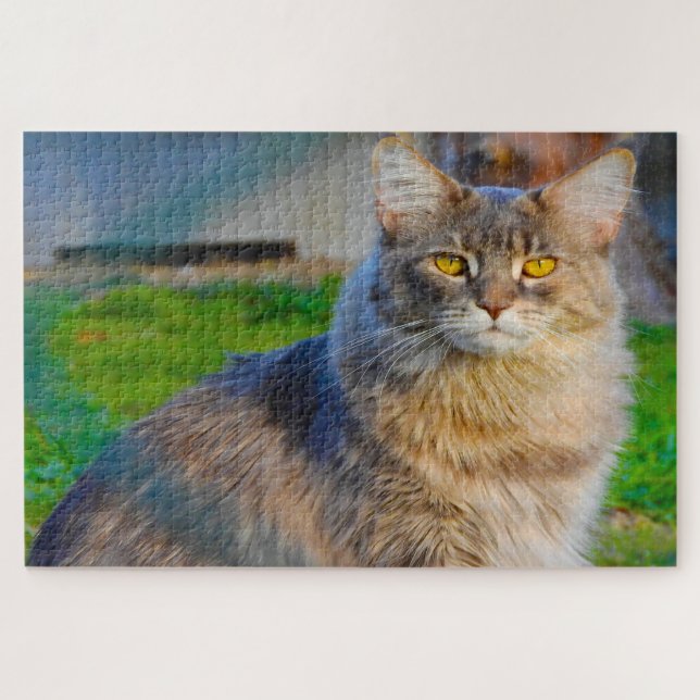 Gatos Maine Coon. Quebra-cabeça (Horizontal)