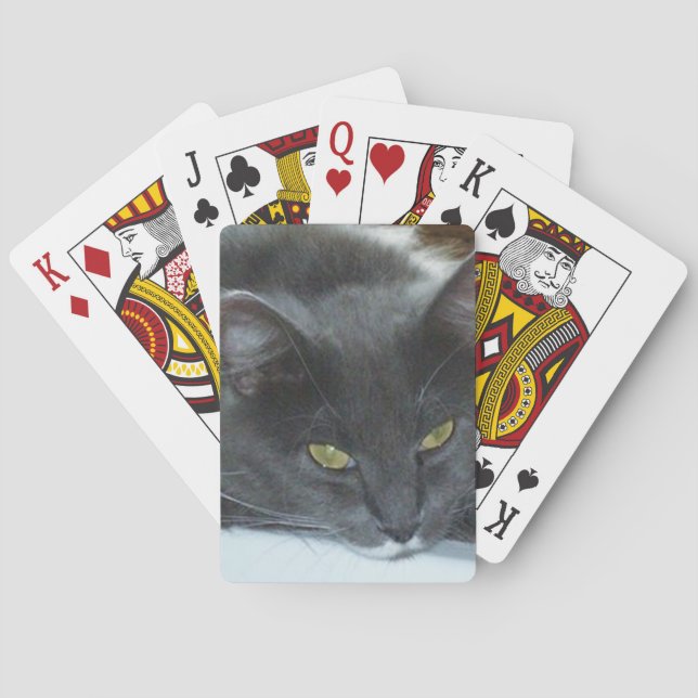 Gatos Meow 8 Cartas de Baralho (Verso)