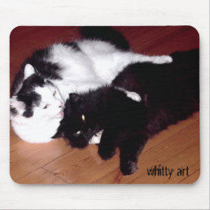 Gatos Mousepad do amor
