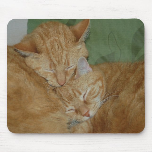 Gatos Mousepad do sono (Frente)