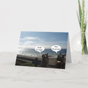 Gatos Negros Querem Cartão de Encorajamento de Ave