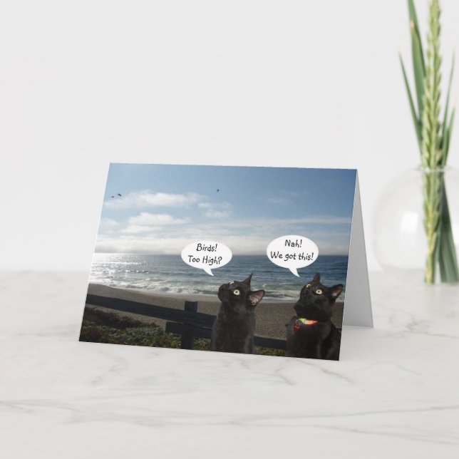 Gatos Negros Querem Cartão de Encorajamento de Ave (Frente)