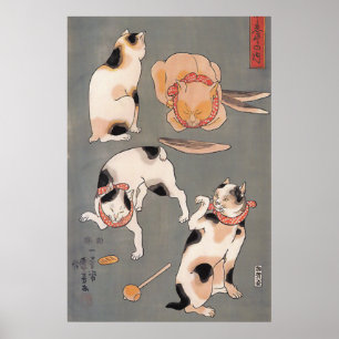Gatos no poster do jogo