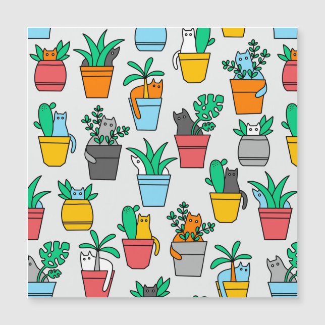 Gatos nos pântanos (Frente)