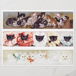 Gatos Panorâmicos Vitorianos Genuínos (não AI)