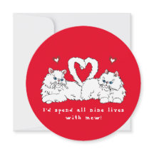 Gatos Persianos Brancos dias de os namorados com C