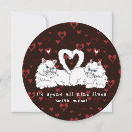 Gatos Persianos Brancos dias de os namorados com C