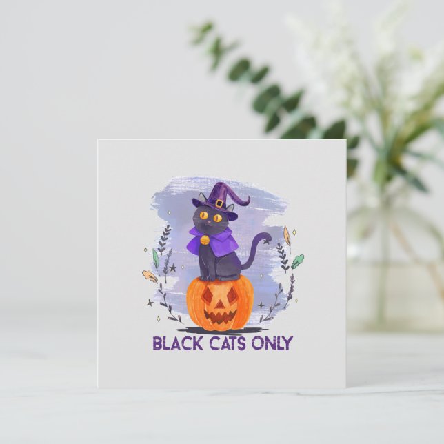 Gatos Pretos - Gato de Bruxa no Jack O’-Lanterna (Em pé/Frente)