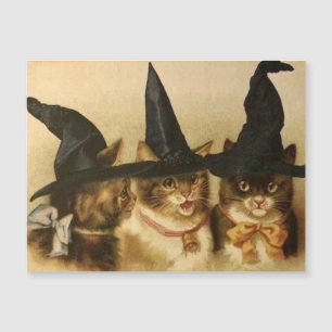 Gatos Pretos Vintage de Halloween