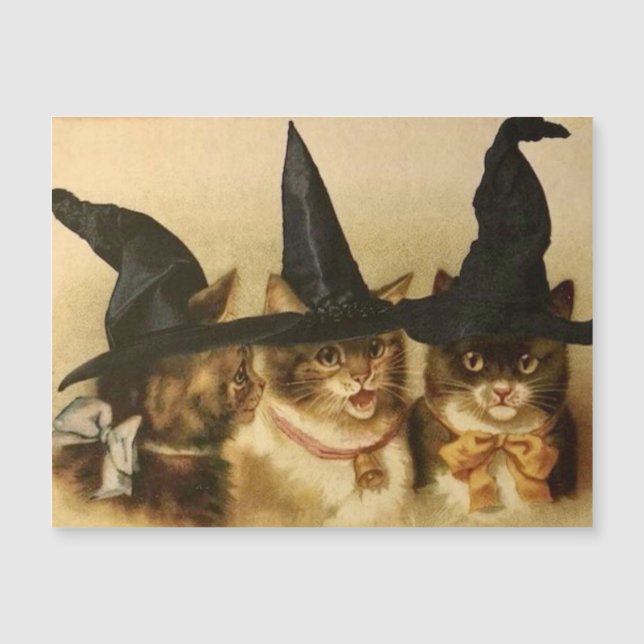 Gatos Pretos Vintage de Halloween (Frente)