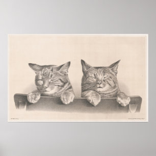 Gatos sonolentos do vintage que tiram o impressão