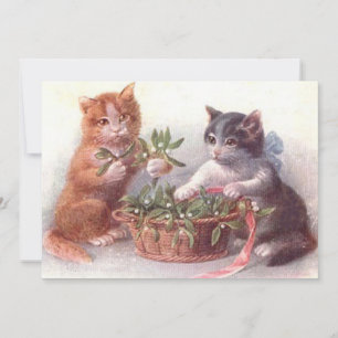 Gatos & Visco