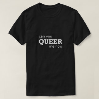 Gay engraçada Camisa LGBTQ Você Pode Me Enganar Ag