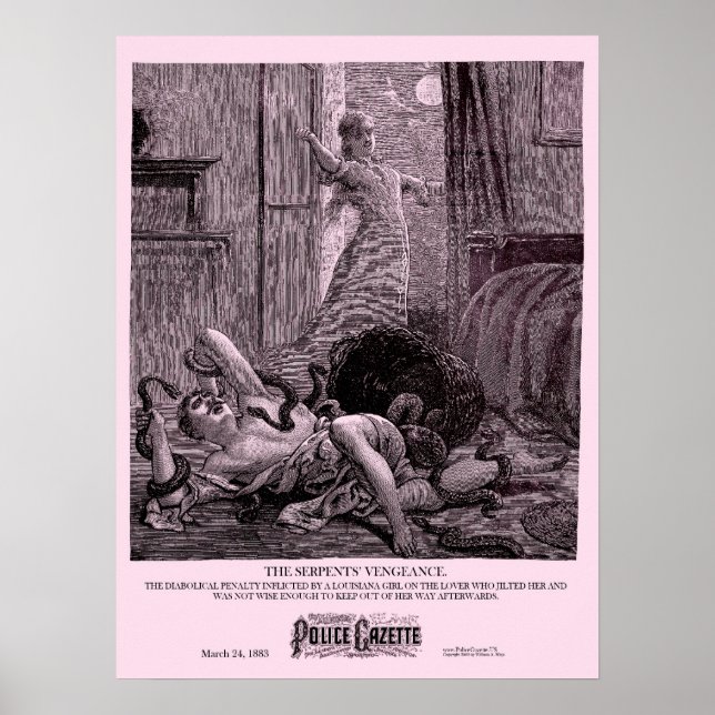 Gazeta poster da Polícia Vengeance (Frente)