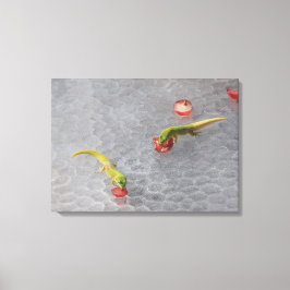 Gecko coquetel hora duas peças canvas