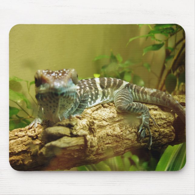 Gecko Mousepad (Frente)