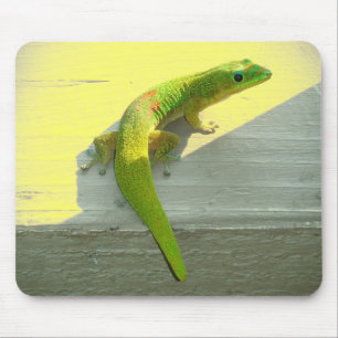 Gecko mousepad havaiano