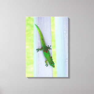 Gecko no Havaí - Canvas vertical