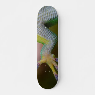 Gecko Skateboard