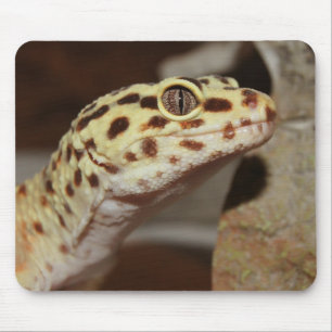 Geco Mousepad do leopardo