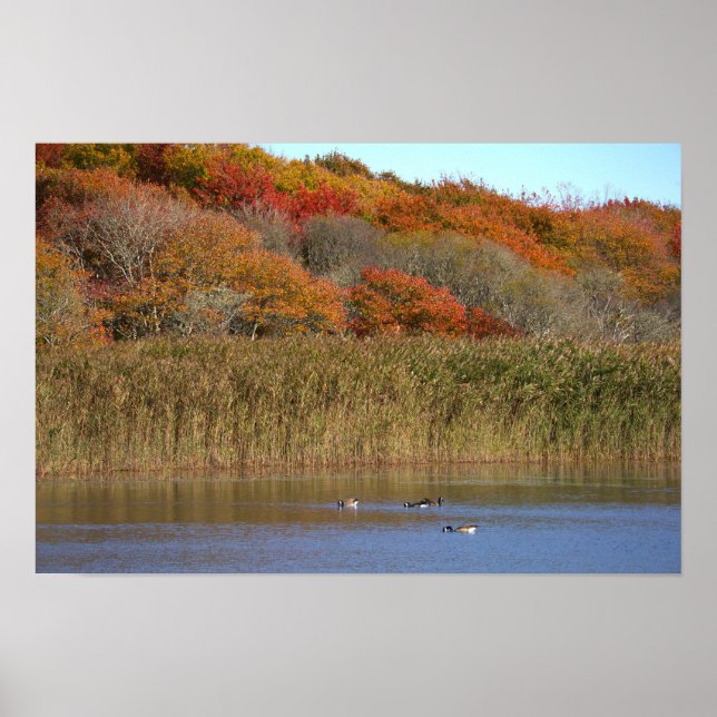 Geese with Autumn Trees Poster (Frente)
