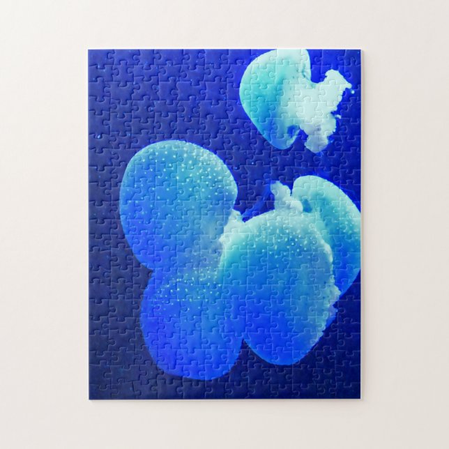 Geleia Fish. Quebra-cabeça de serra (Vertical)