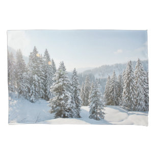 Gelo e neve   Allgäu Bavaria Sul da Alemanha