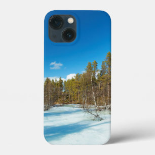 Gelo e neve   Paisagem de inverno