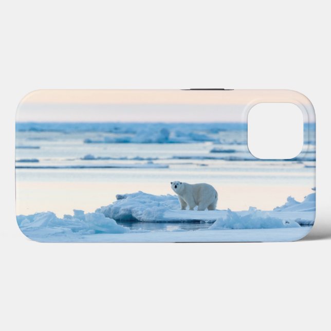 Gelo e neve | Polar Bear Iceberg Noruega (Verso (horizontal))