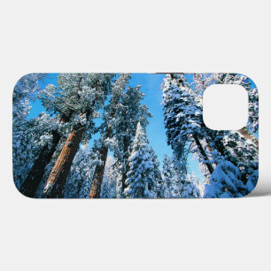 Gelo e neve Sequoia National Park, Califórnia