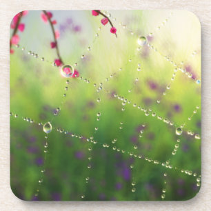 Gemas de uma Porta copos de Cortiça da Manhã de Pr