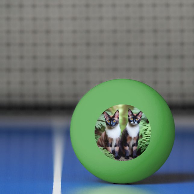 Gêmeos de Gatos Siameses, Bola de Ping Pong (Líquido)