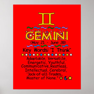 GEMINI POSTER
