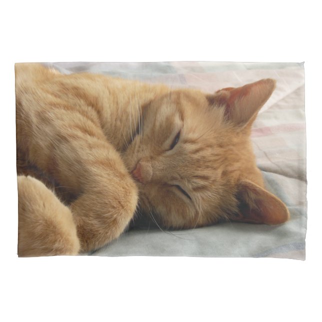 Gengibre dormente (Frente)