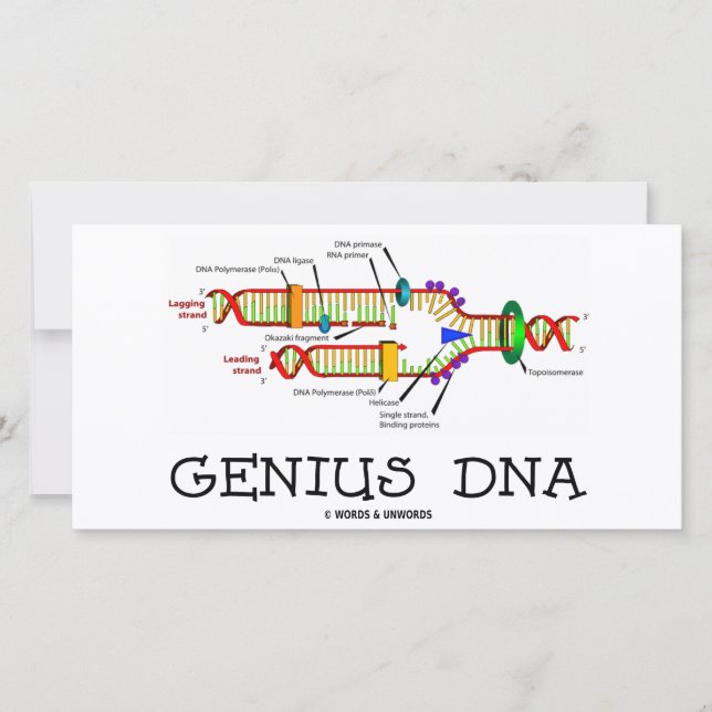 Genius DNA (DNA Replication Humor) (Frente)