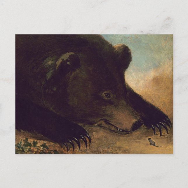 George Catlin - Urso Pardo e Cartão Postal de Rato (Frente)
