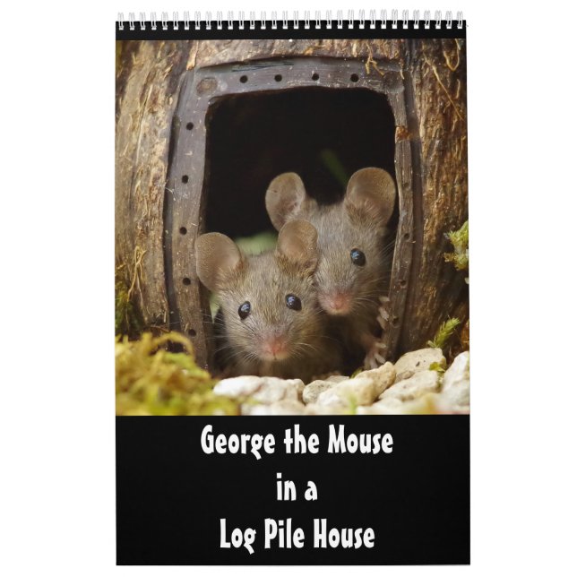 George, o rato num calendário da Casa 2020 (Capa)