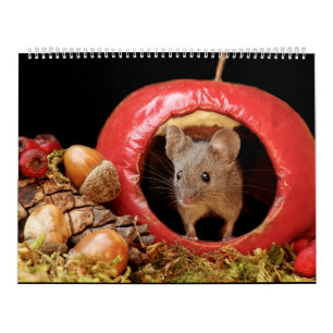 George, o rato num calendário de 2022