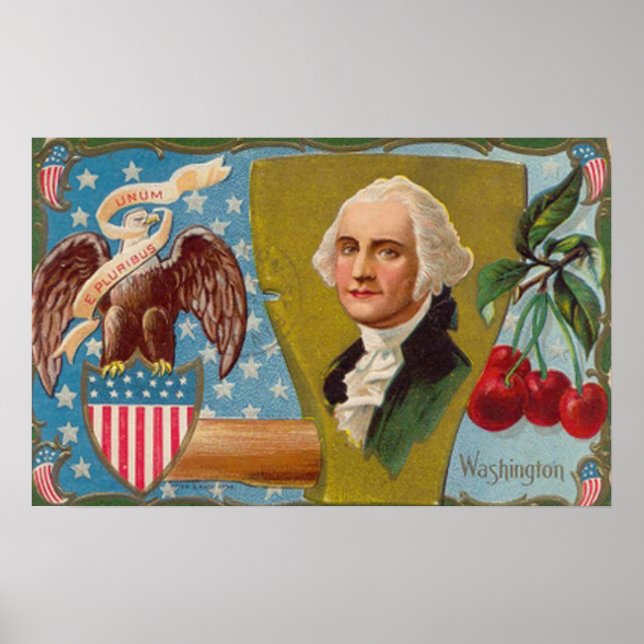 George Washington Poster vintage (Frente)