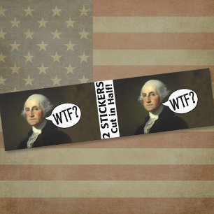 George Washington WTF - 2 adesivos