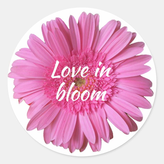 Gerber Daisy rosa com adesivo de texto (Frente)