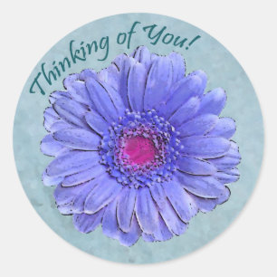 Gerbera azul que pensa de você etiqueta