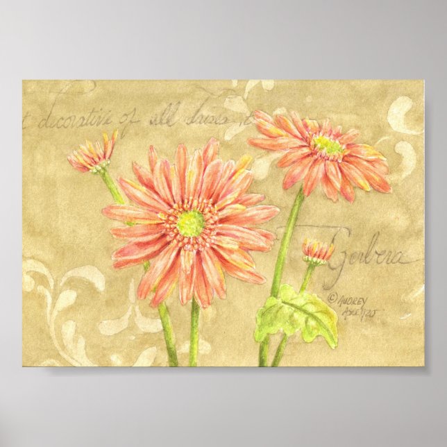 Gerbera Daisies Garden Notes Poster 7x5 (Frente)