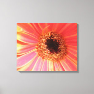 Gerbera Daisy Flower Canvas Print