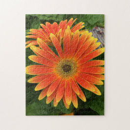 Gerbera Daisy Flower Quebra-cabeça