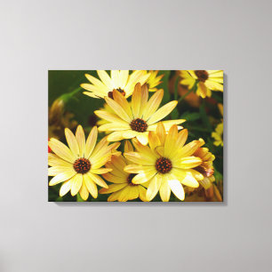 Gerbera Daisy Flowers Canvas Art